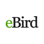 Logo of eBird by Cornell Lab android Application 